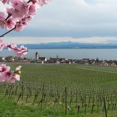 Winzerhof Saupp *